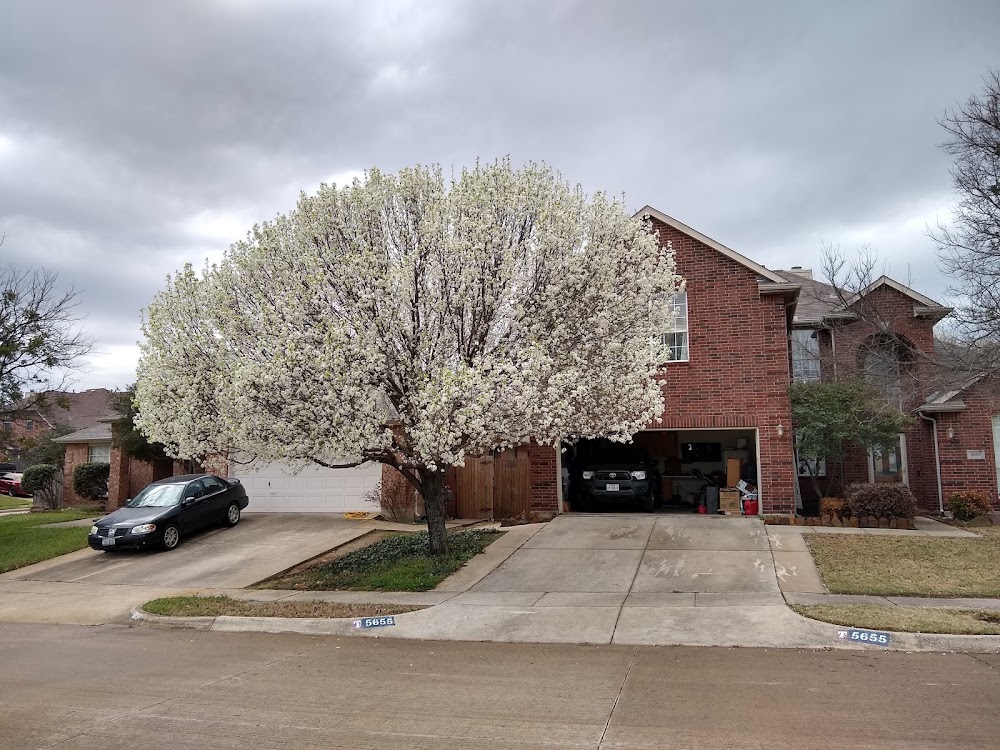 Kelly Christenson, KC Realty Group, REMAX Trinity