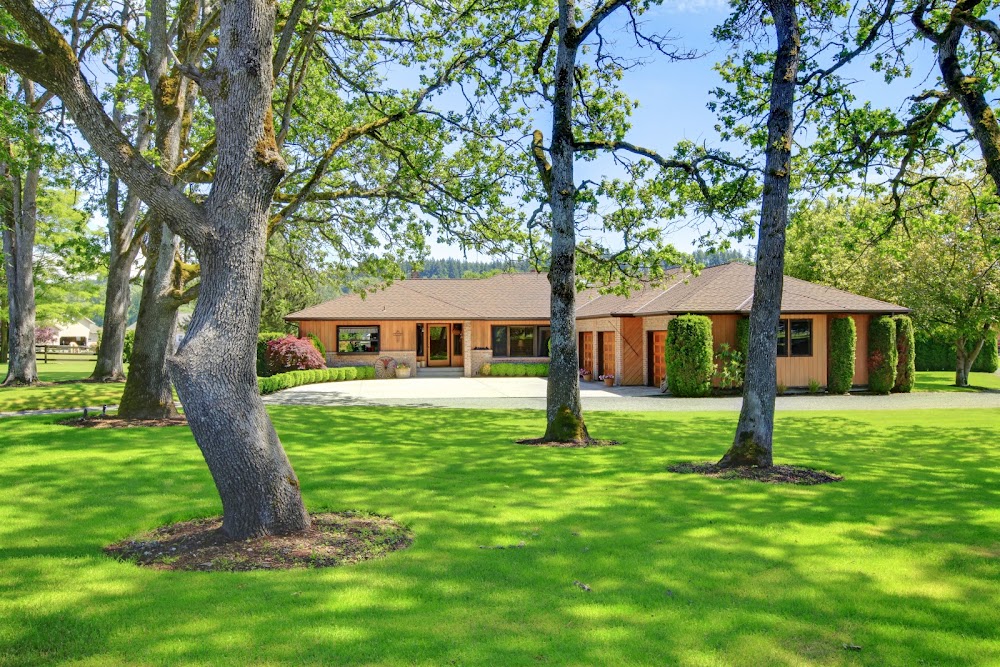 Cameron Johnson - Dallas Tx Realtor
